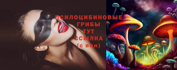 синтетический гашиш Богородск