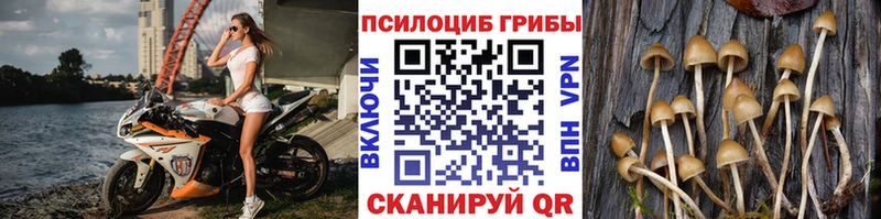 Псилоцибиновые грибы прущие грибы  Купить  Курчалой 