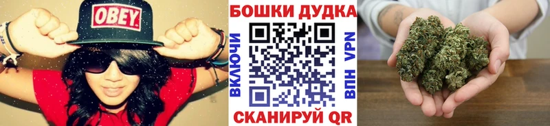 Купить где  Курчалой  Канабис семена 